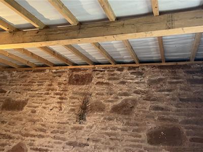 Picture 30